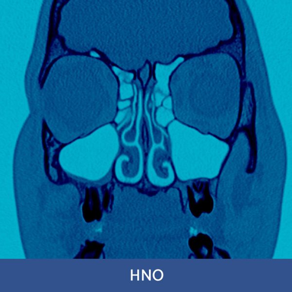 RFN Online. Wochenendkurs HNO-Diagnostik, 08.-09. November 2025