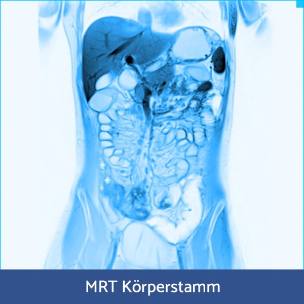 RFN Online - Wochenendkurs MRT-Körperstamm, 08.- 09. November 2025