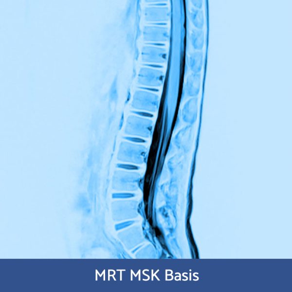 RFN Online: Wochenendkurs Metamorphose MRT-Diagnostik muskuloskelettales System (Basiskurs), 08.- 09. November 2025