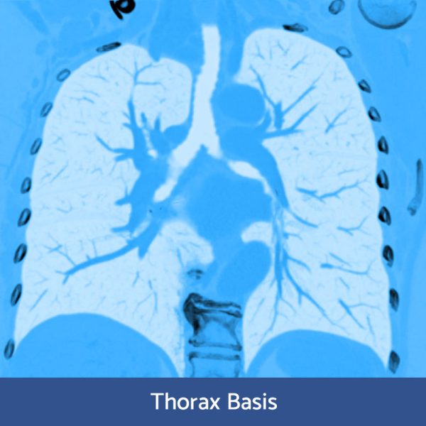 RFN goes online - Wochenendkurs Thoraxdiagnostik (Basiskurs), 12.-13. Februar 2022